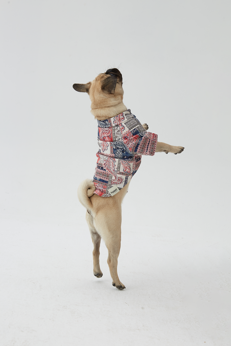 Thumbnail: Hypet Patchwork Dog Shirt