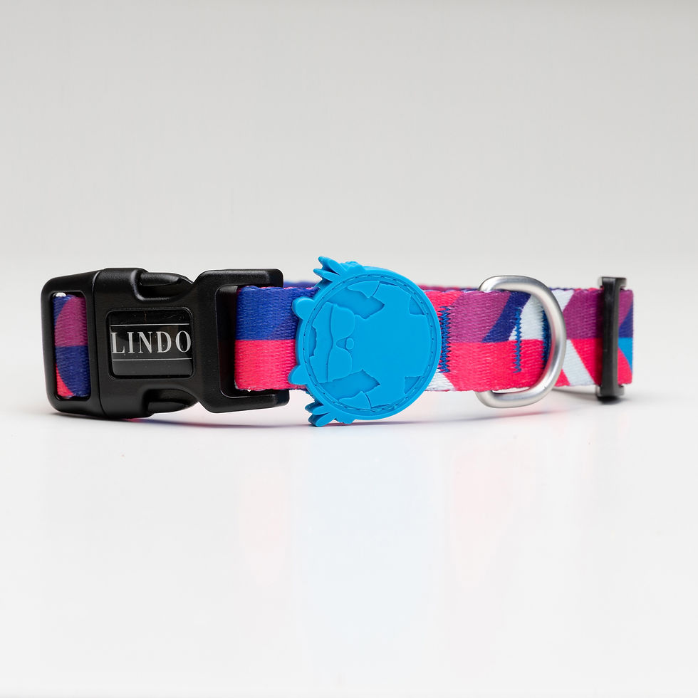 Thumbnail: Pink Dream Dog Collar