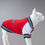 Thumbnail: Lindo All Star College Sweatshirt