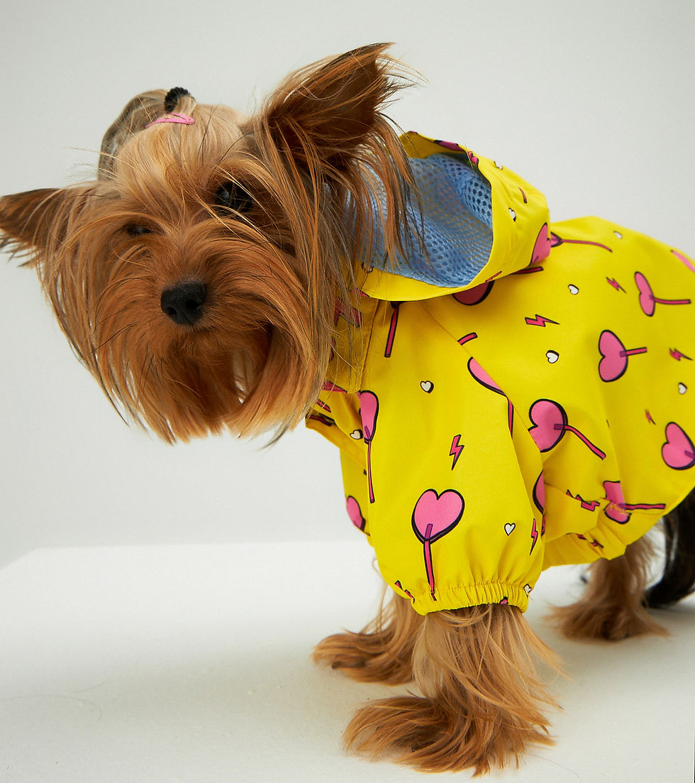 Thumbnail: Yellow Heart Candy Waterproof Raincoat