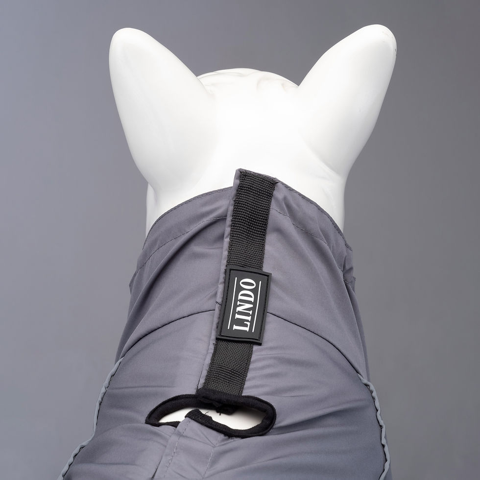 Thumbnail: Lindo Quattro Void Dog Raincoat