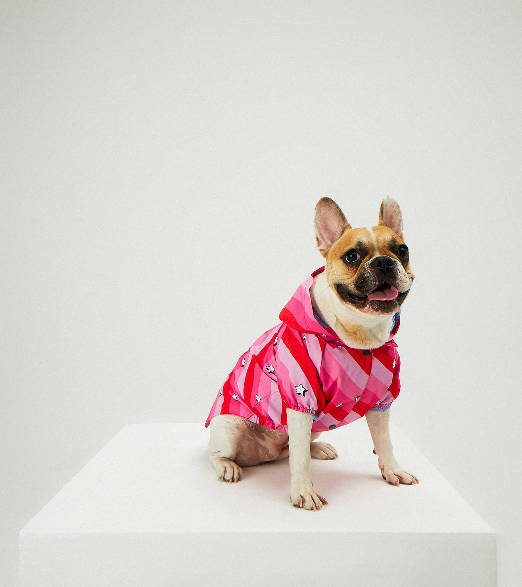 Pink Swirl Waterproof Raincoat