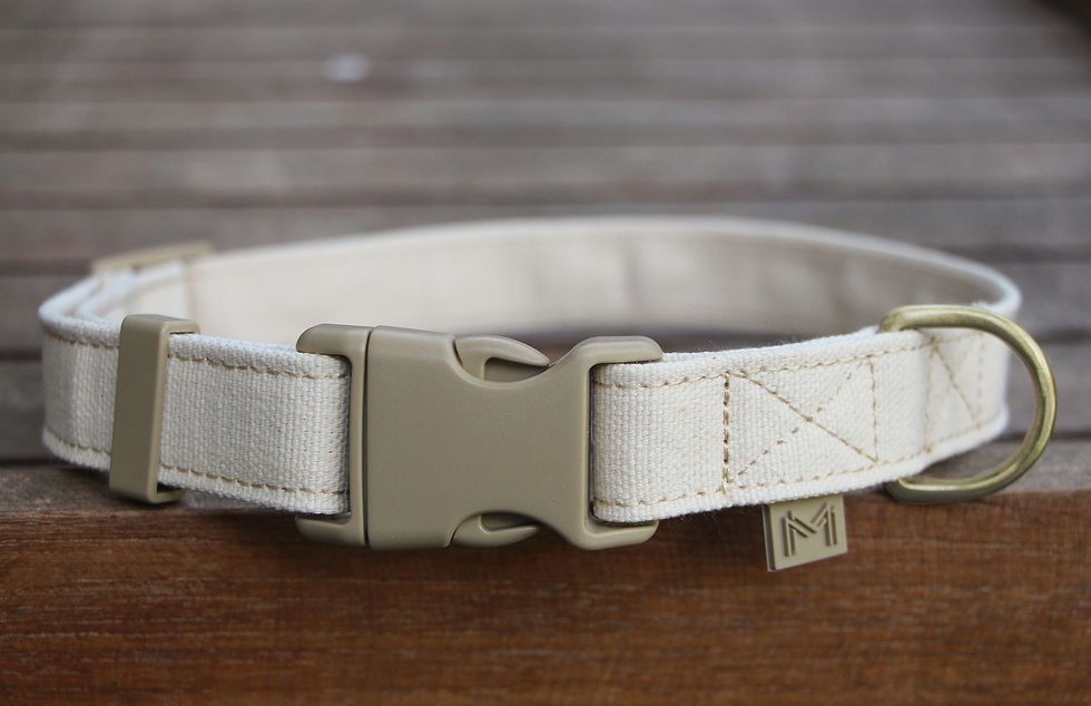 Thumbnail: Canvas Collar - Beige by Mars & Mocha