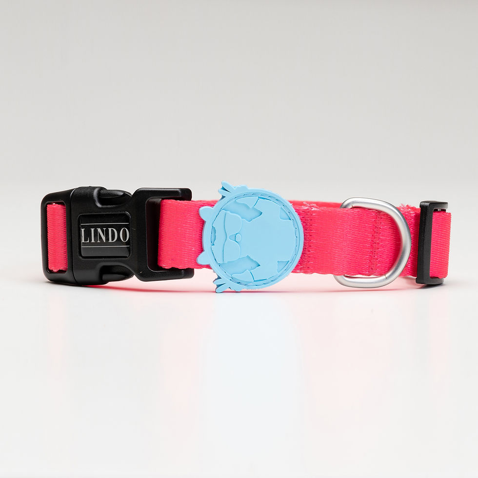 Thumbnail: Bubble Dog Collar