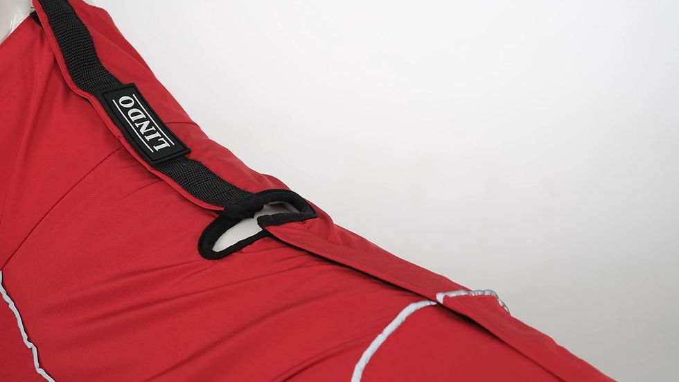 Thumbnail: Lindo Quattro Nova Dog Raincoat