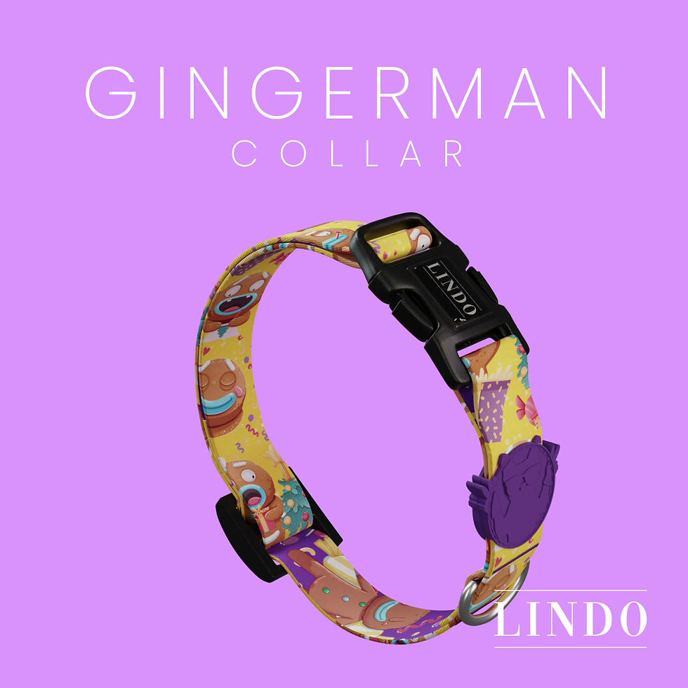Thumbnail: Gingerman Dog Collar
