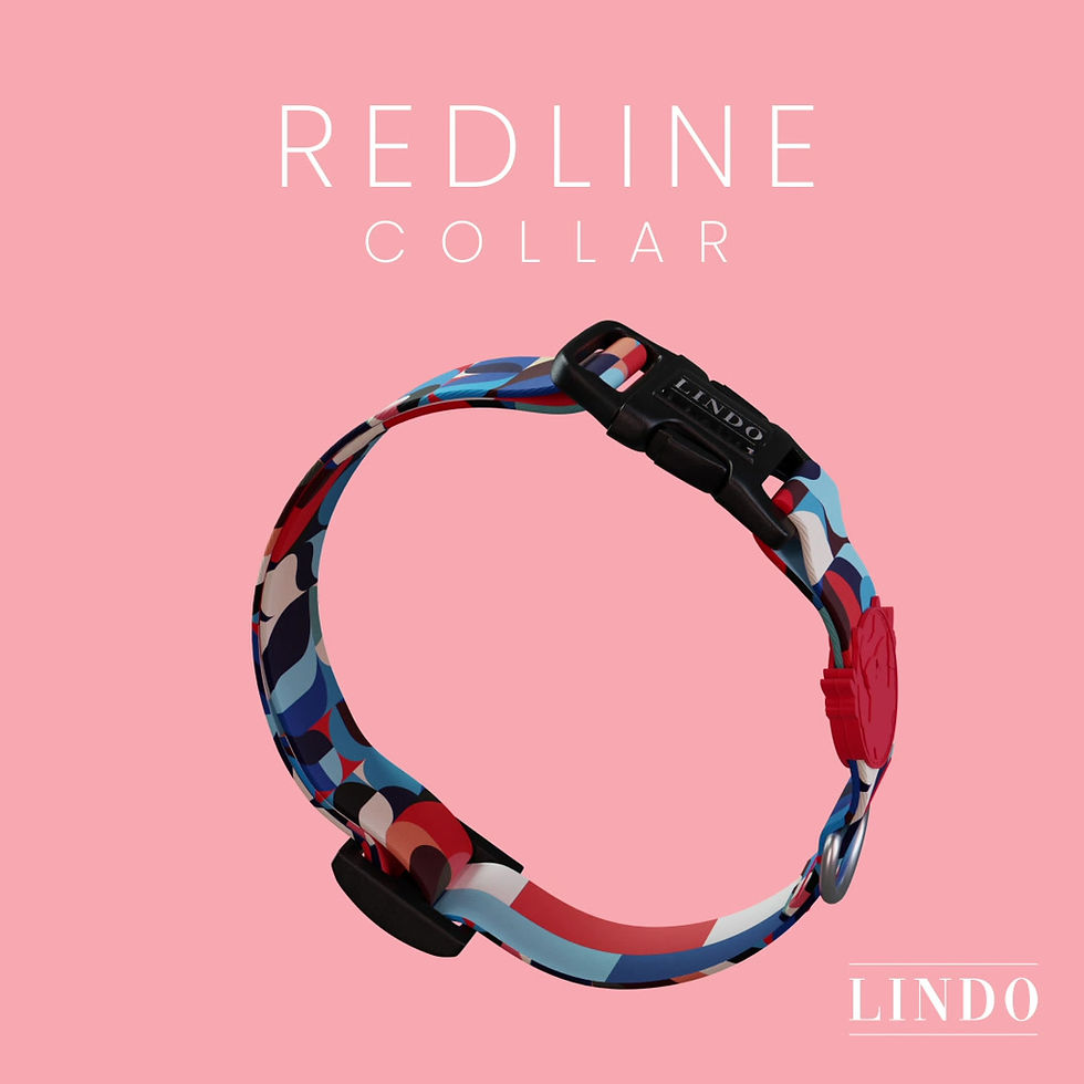 Thumbnail: Redline Dog Collar