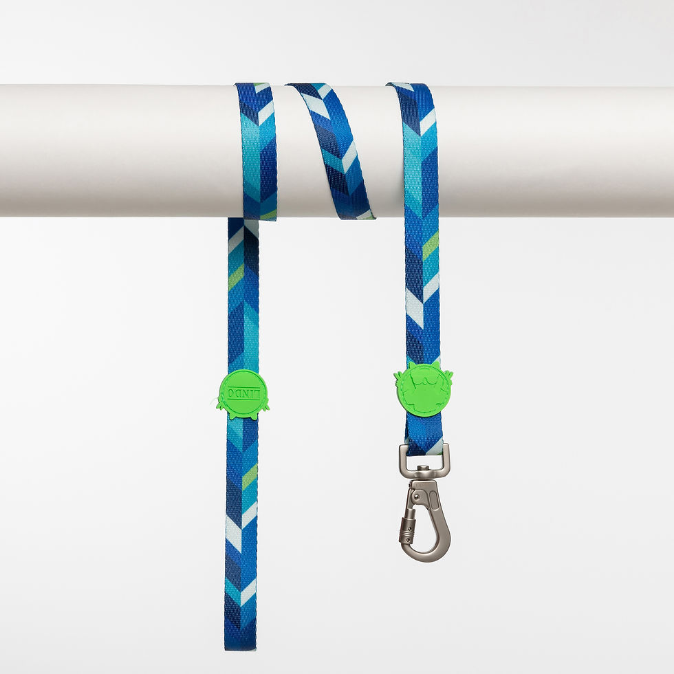 Thumbnail: Blue Dream Leash