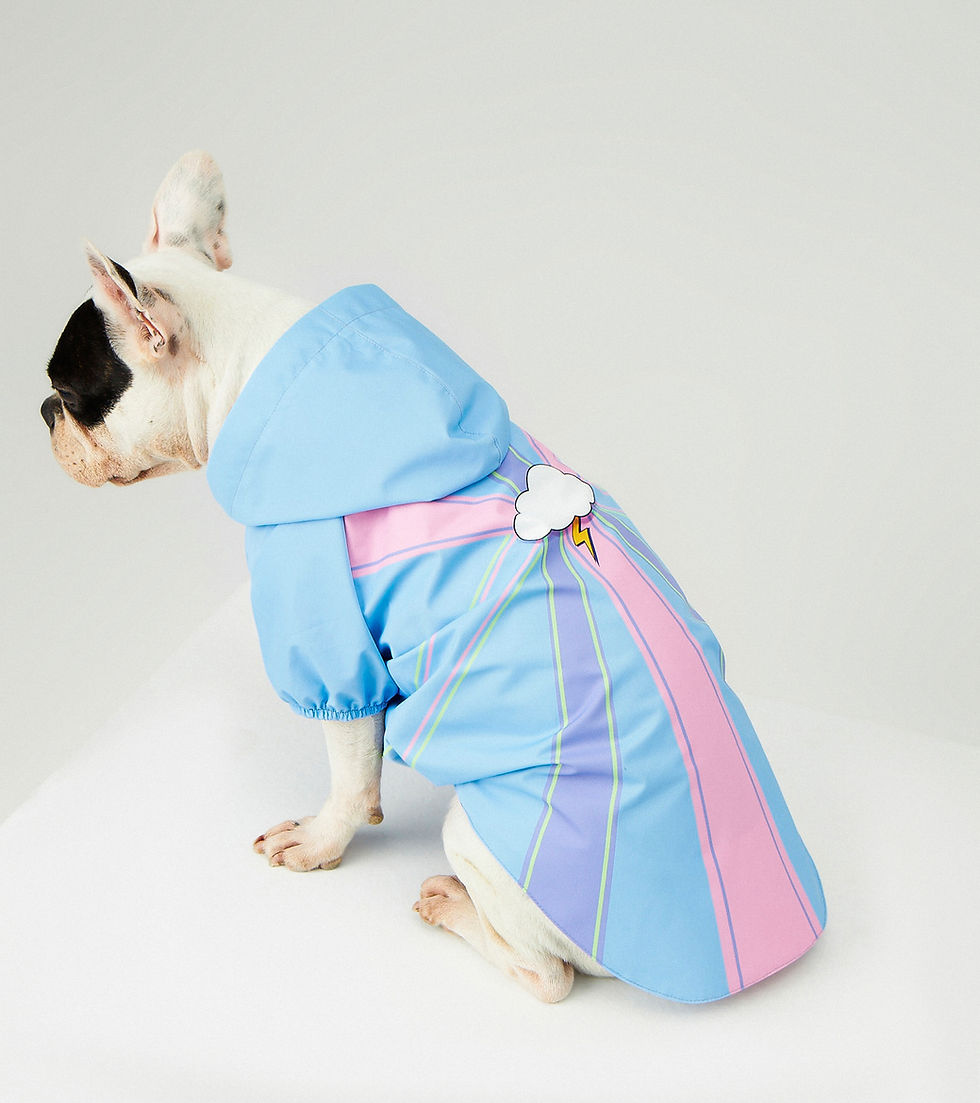 Thumbnail: Blue Single Cloud Waterproof Raincoat
