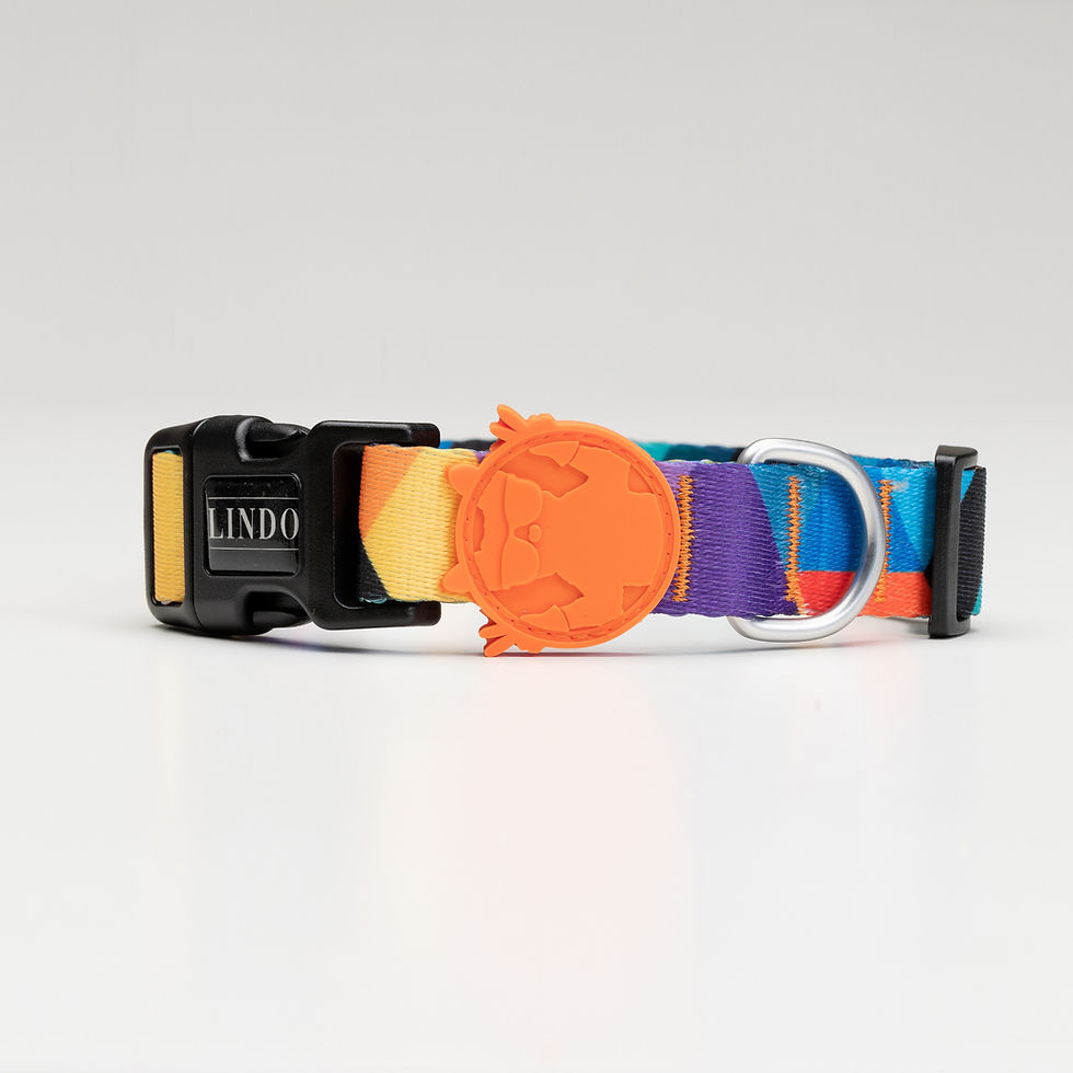 Thumbnail: Ibıza Dog Collar