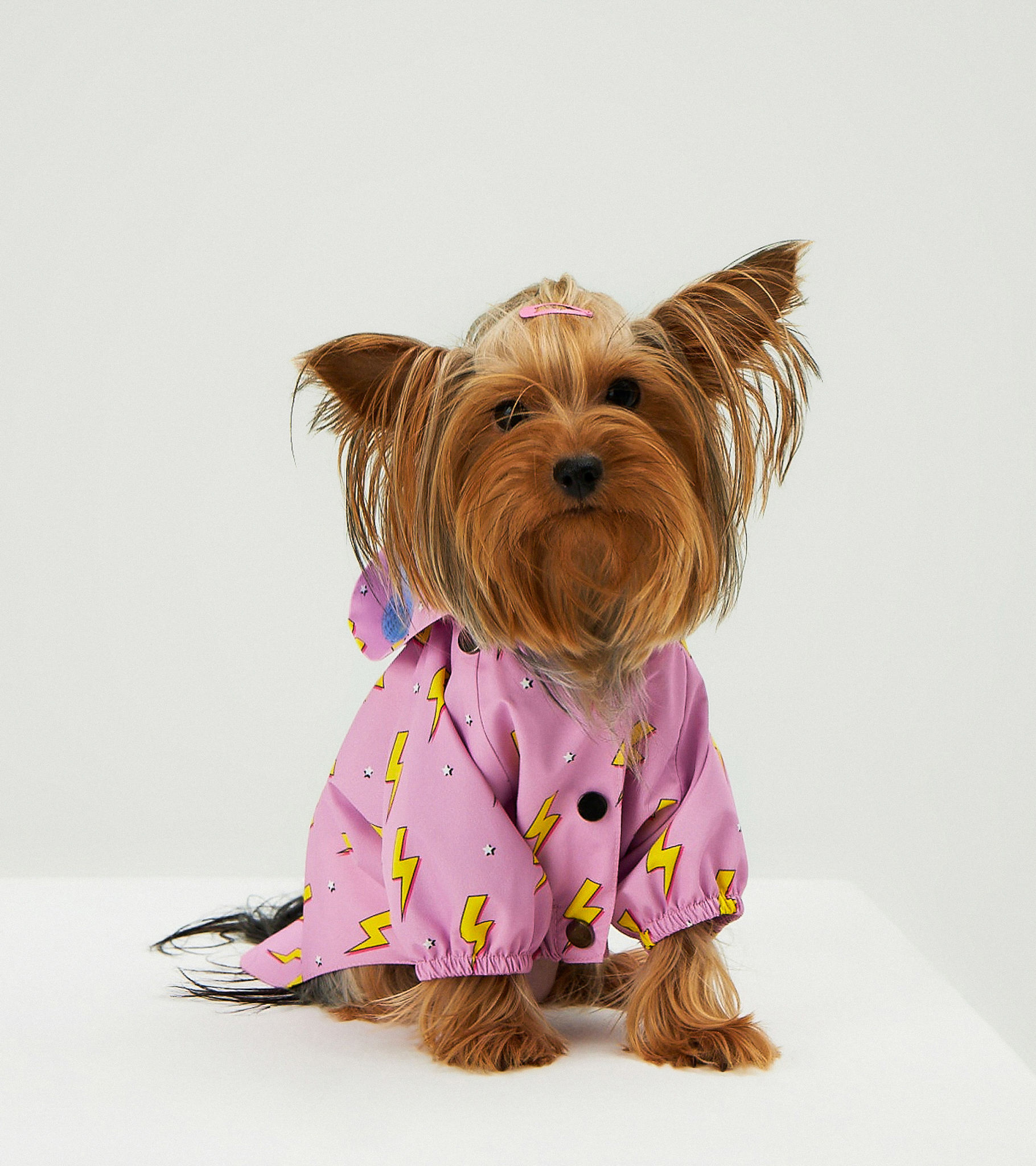 Pink Flash Waterproof Raincoat