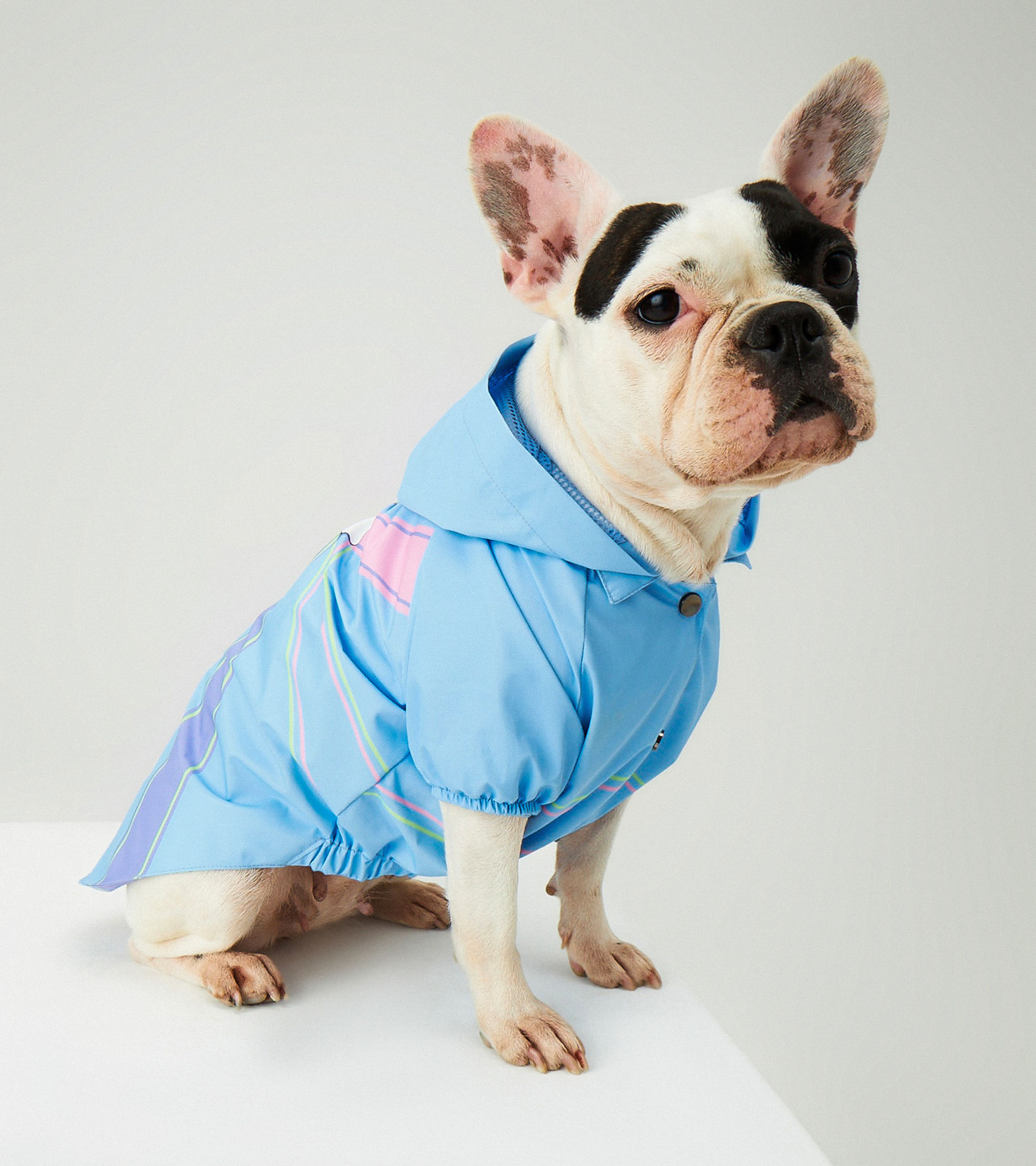 Blue Single Cloud Waterproof Raincoat