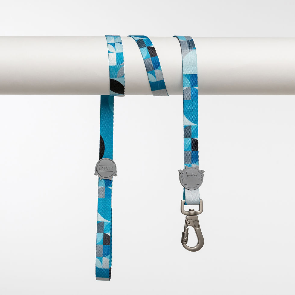 Thumbnail: Breeze Leash