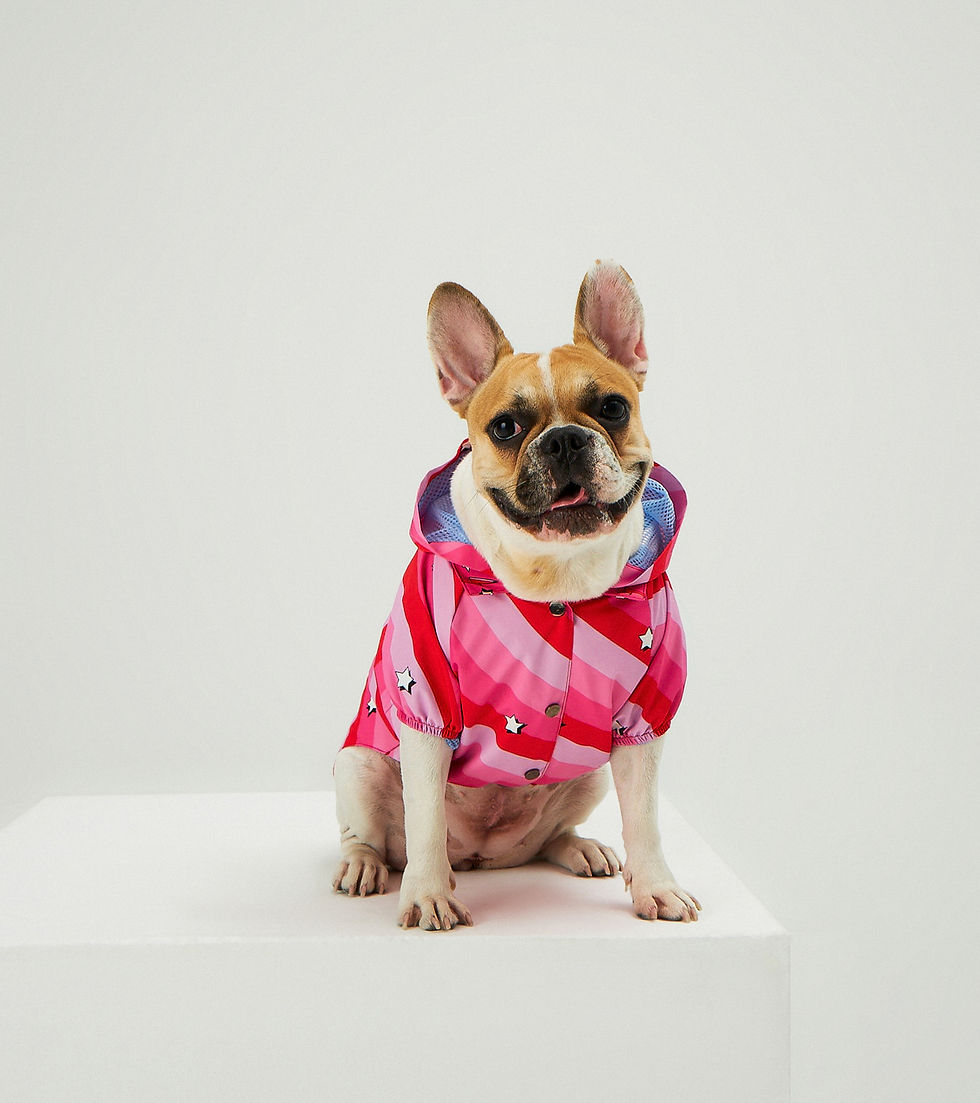 Thumbnail: Pink Swirl Waterproof Raincoat