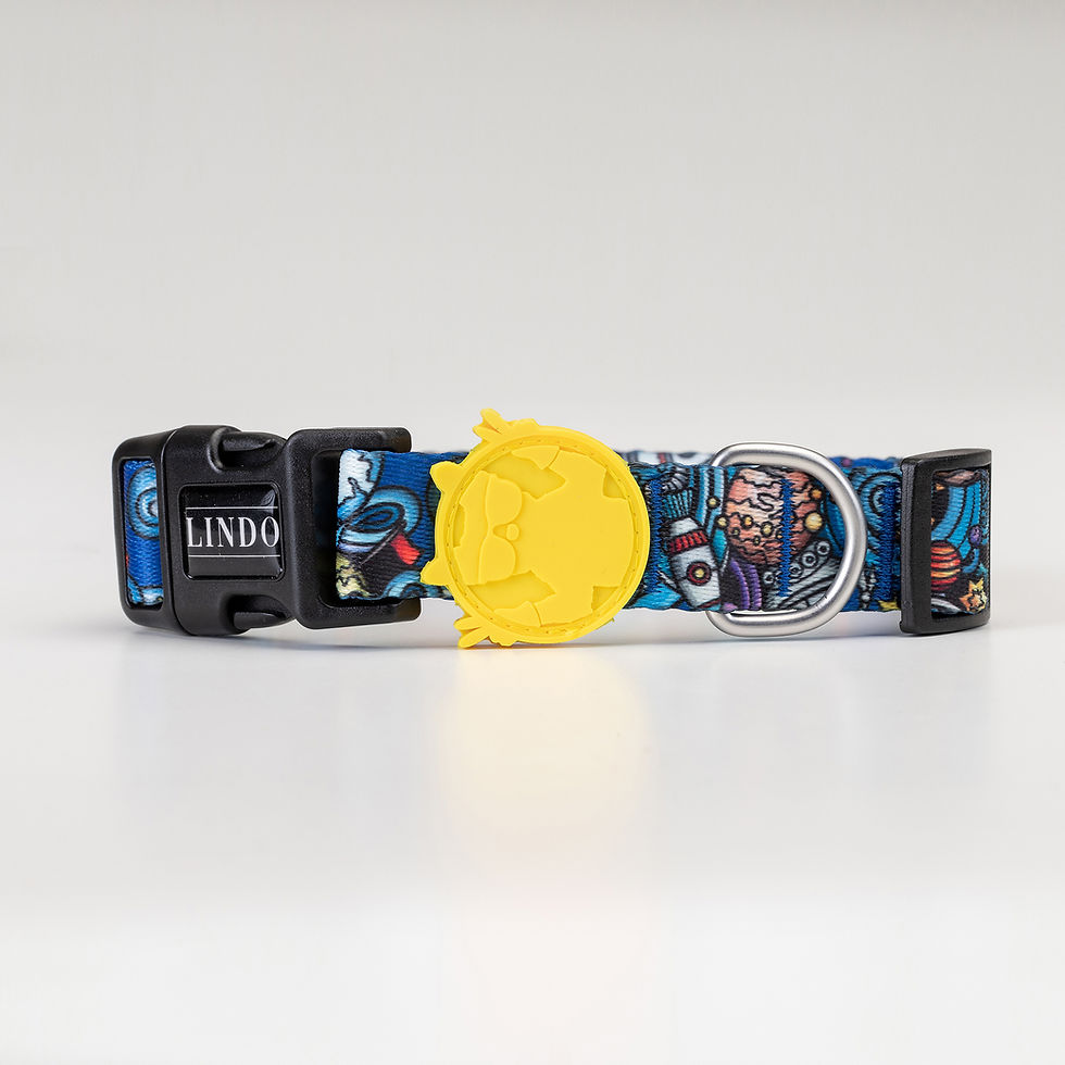 Thumbnail: Apollo Dog Collar