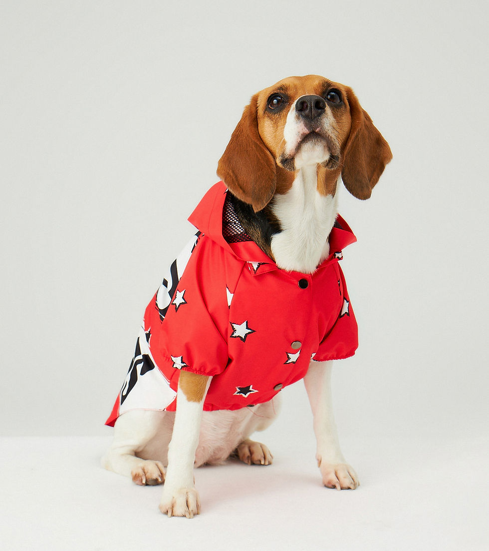 Thumbnail: Red LM Waterproof Raincoat