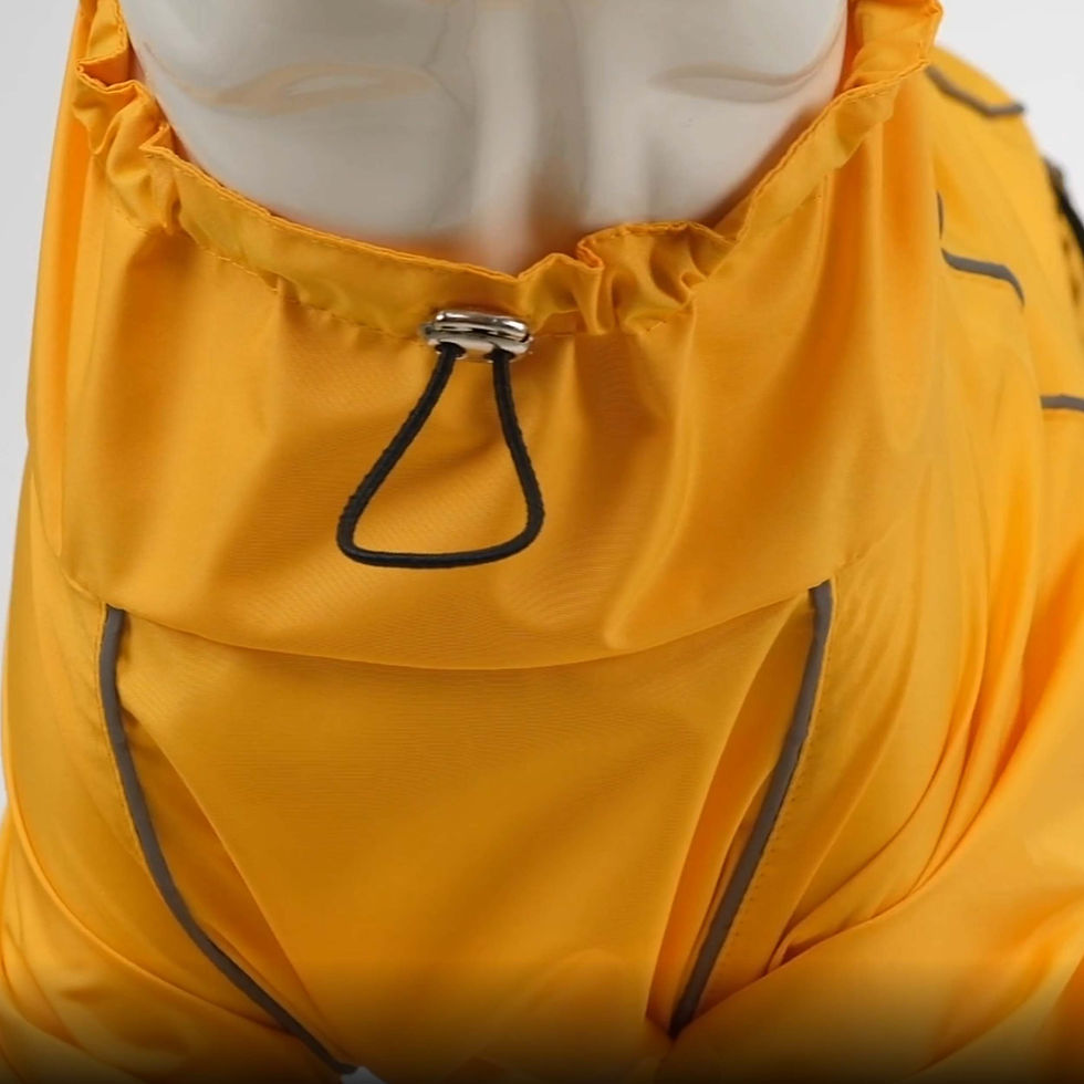 Thumbnail: Lindo Quattro Vega Dog Raincoat