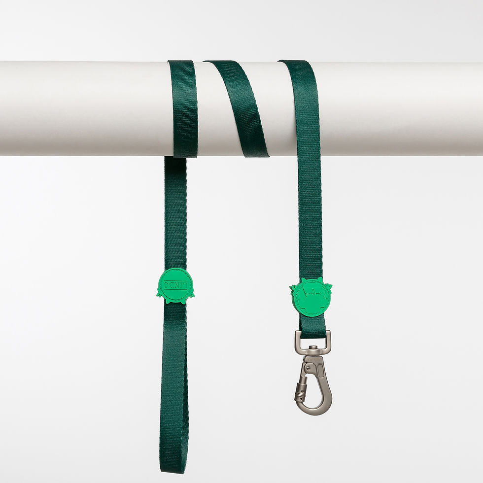 Thumbnail: Brazil Leash