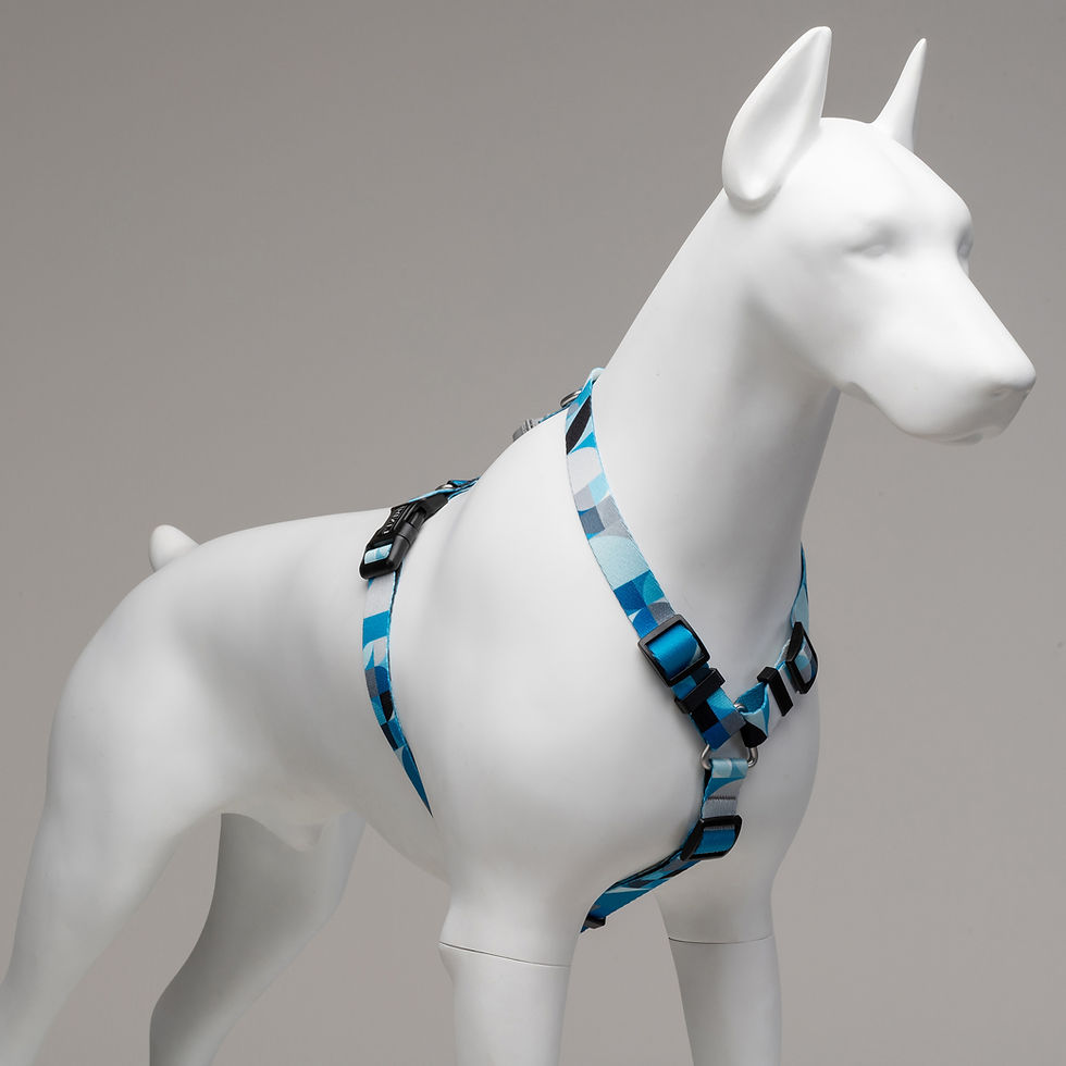 Thumbnail: Breeze H-Harness