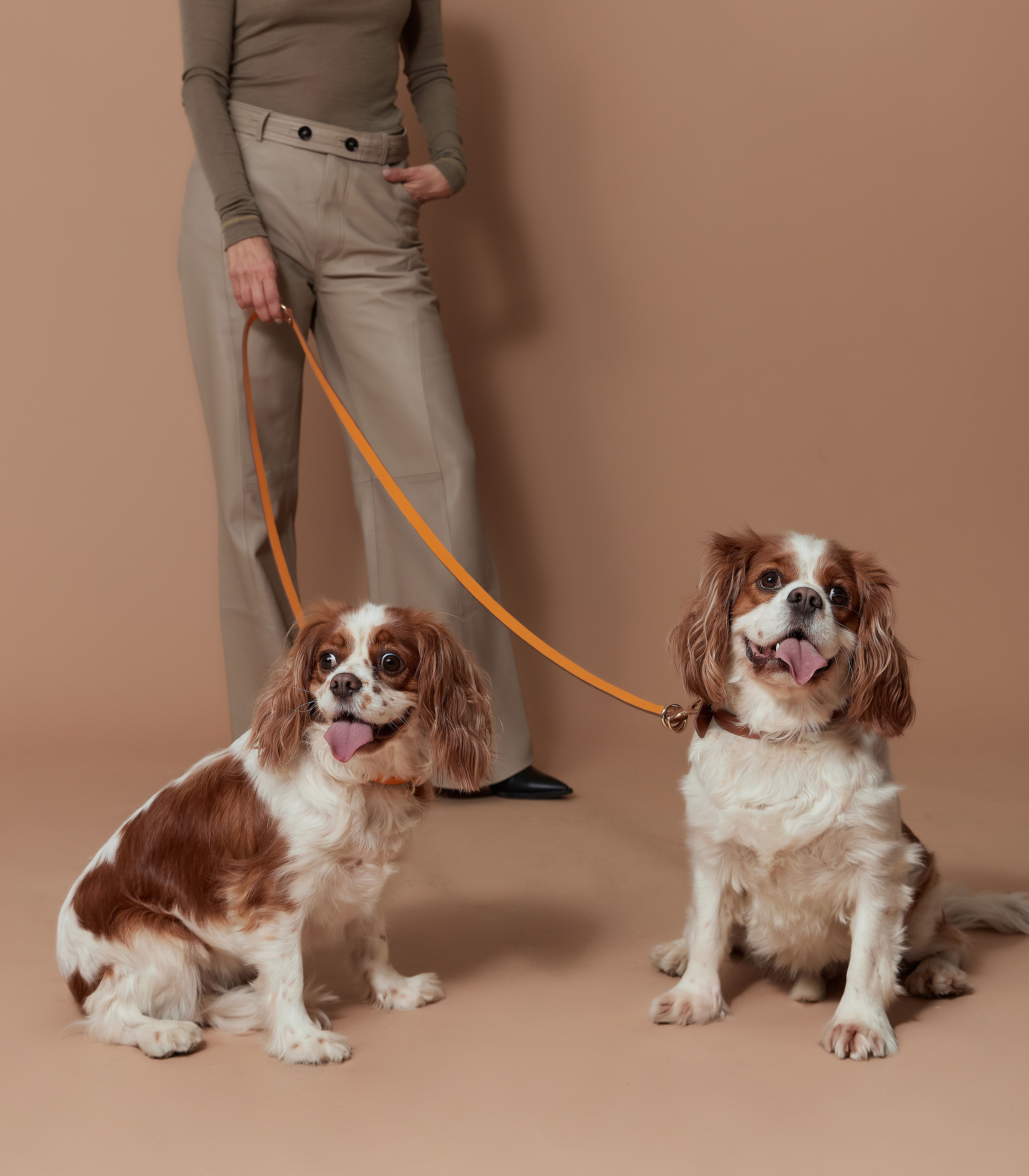 Zoe Multi Leash - Orange Brown