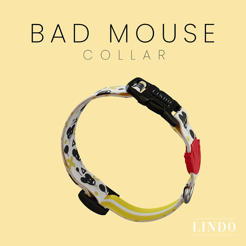 Thumbnail: Bad Mouse Dog Collar