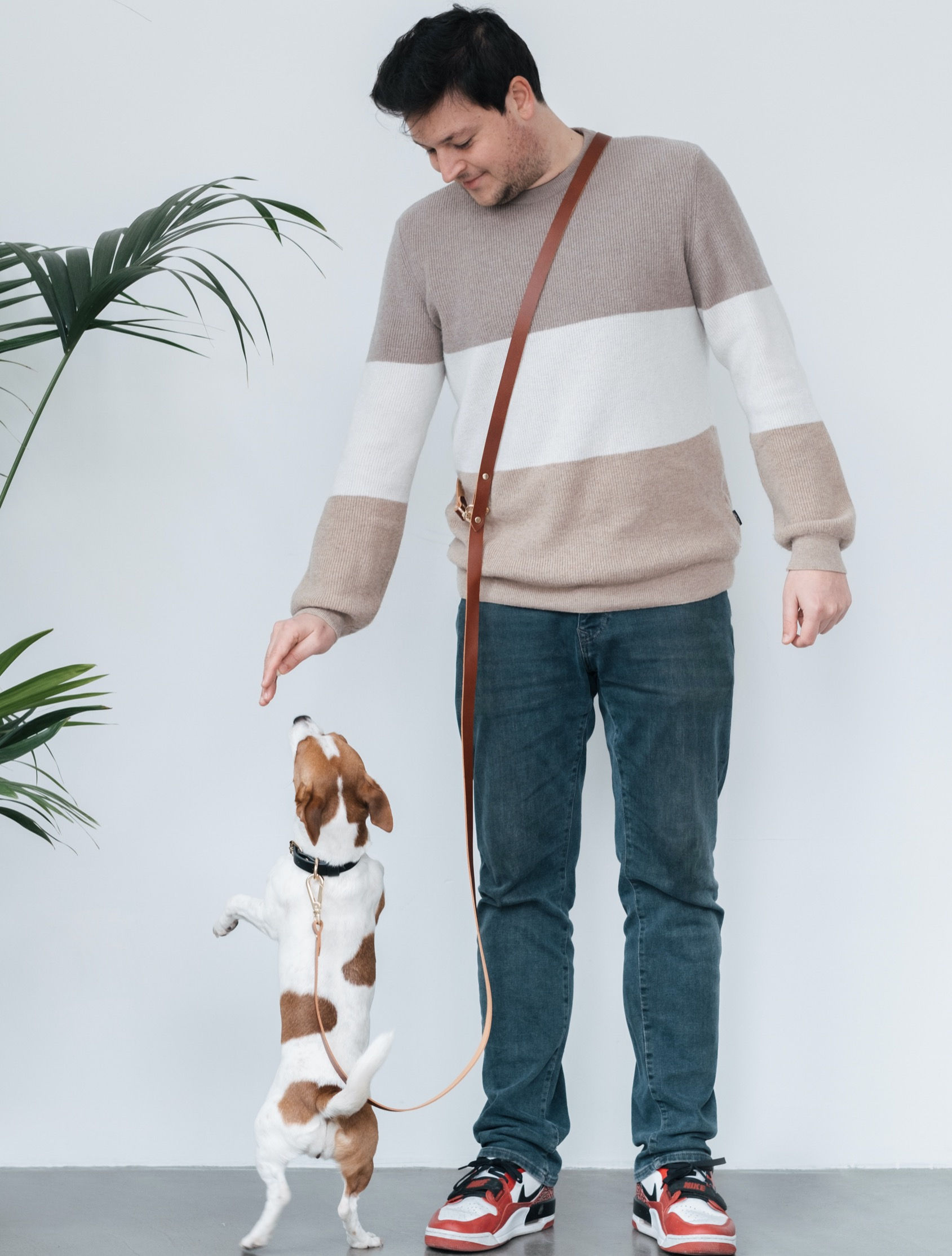 Pups & Itchy Hands Free Leash - Cognac
