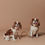 Thumbnail: Zoe Classic Collar - Brown