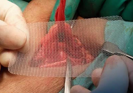 Captura de pantalla 2025-06-20 a la(s) 16.31.53.png