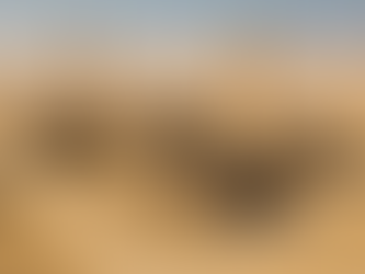 Aerial photograph of a large desert construction site on Abu Ali Island with four modern low-rise housing blocks under construction, two tall cranes, workers and machinery in view, illustrating Aramco’s commitment to sustainable workforce accommodation.