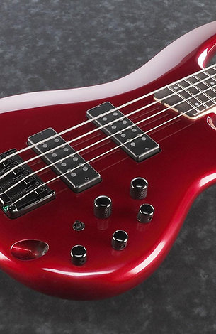 SR300EB CA