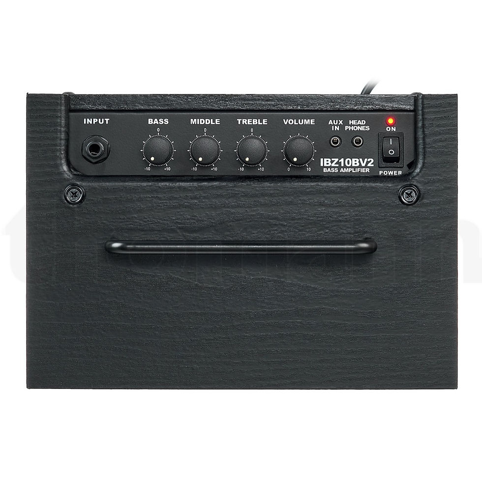 Miniatura: IBZ10BV2