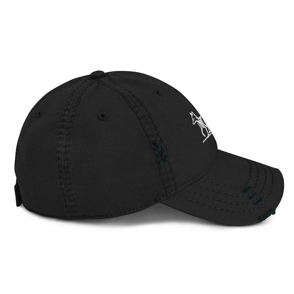 Thumbnail: Distressed Dad Hat