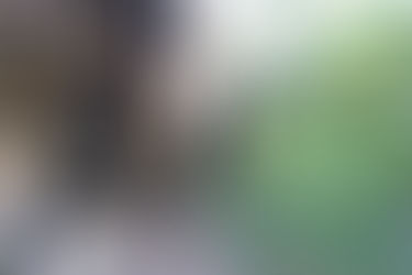 In Bohol, Philippine:  Six Abu Sayyaf members were killed during the clashes with the government sol