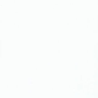 002002 White | White Roller Shade