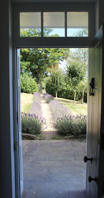 View out front door of lavender pathway leading to parking area for cars . Down House Farm, Exeter, Devon EX6 7SA