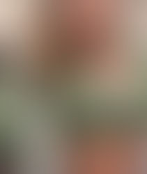 lacy chapin nude