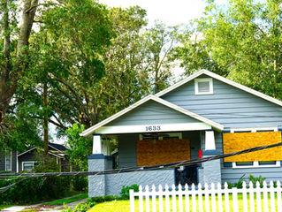 Irma: Survival of the Fittest!