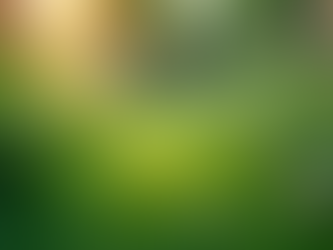 The Importance of Sustainable Living in Today's World