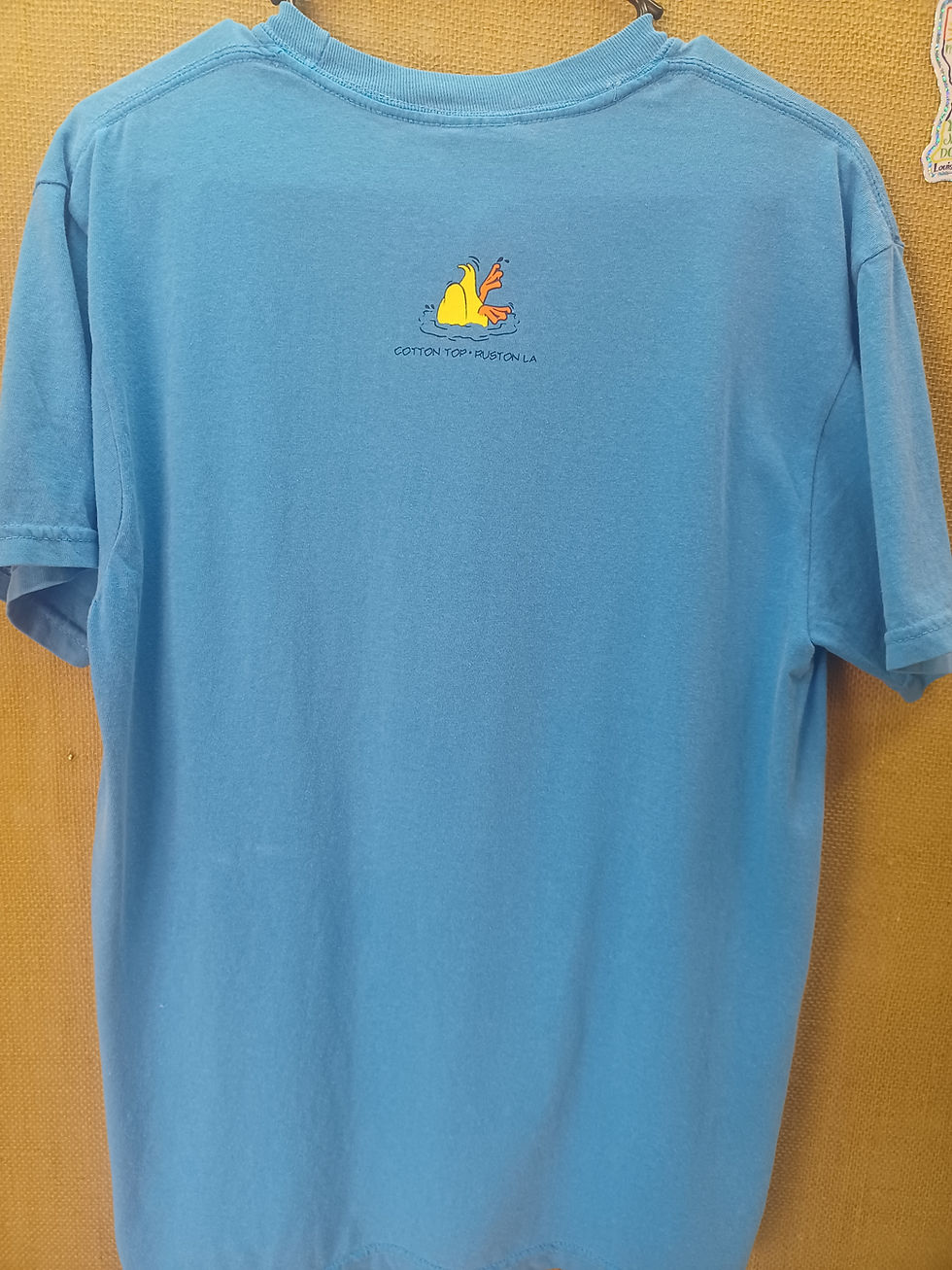 Thumbnail: Small Duck Big Wave