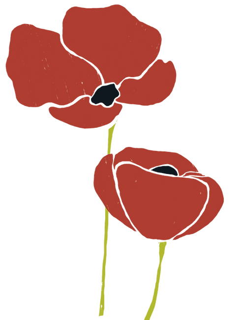 poppies_web.png