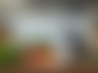 Mixer Grinder Companies in India