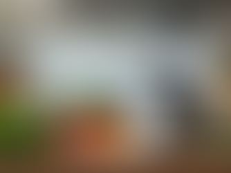 Mixer Grinder Companies in India