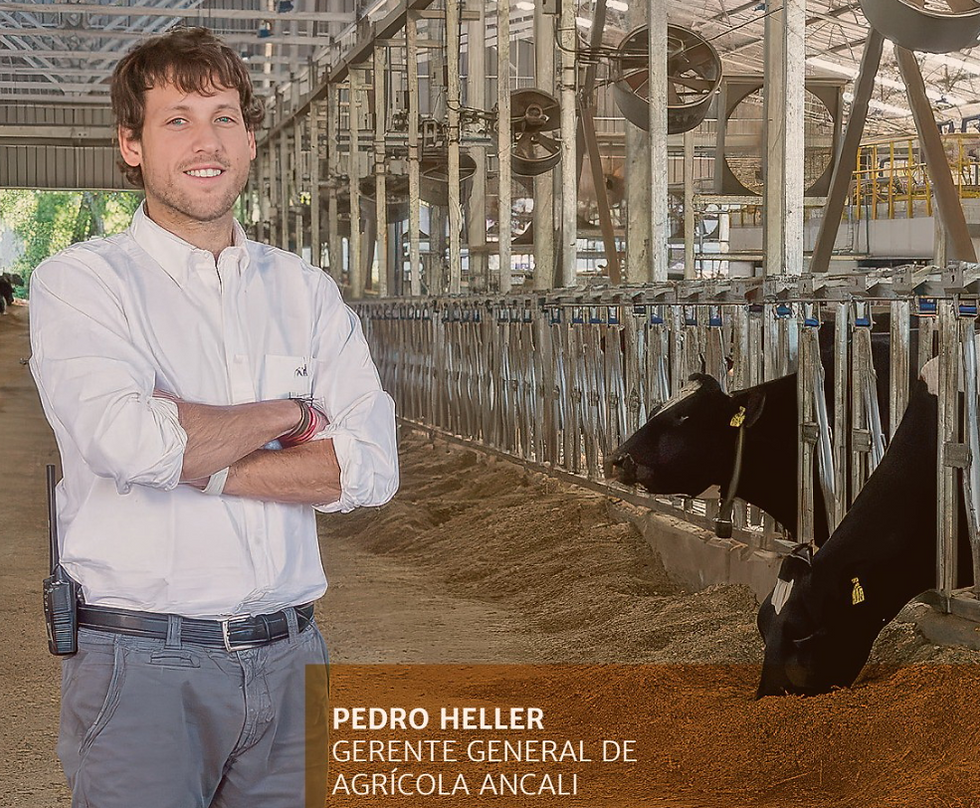 Ancali prepara el salto al consumidor final y apuesta a vender leche con marca propia