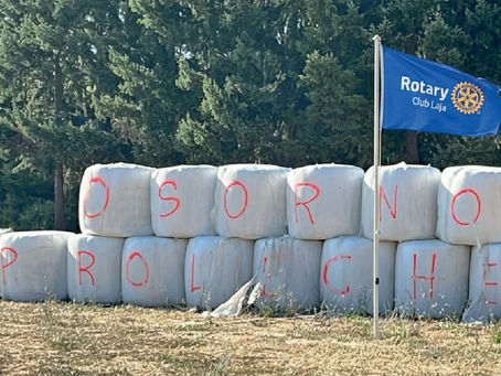 Socabio exige apoyos económicos al Estado y apunta a intencionalidad, tras incendios en Biobío