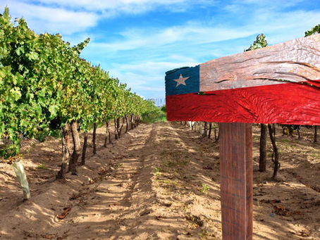 Agro chileno: equilibrio estratégico en tiempos de tensión global