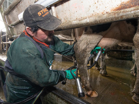 Gremios del agro coinciden en la importancia de ser incluidos en discusión sobre flexibilidad