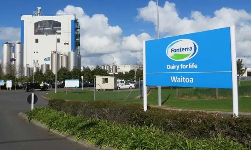 Fonterra redujo en 5% el precio de la leche en Nueva Zelanda
