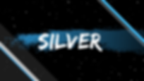 PLATINUM (3).png