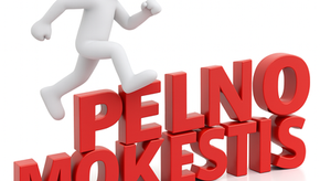 Pelno mokestis šiemet startuojantiems verslams