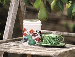 Elitetins - Emma Bridgewater Fruits 100gm Square Tin